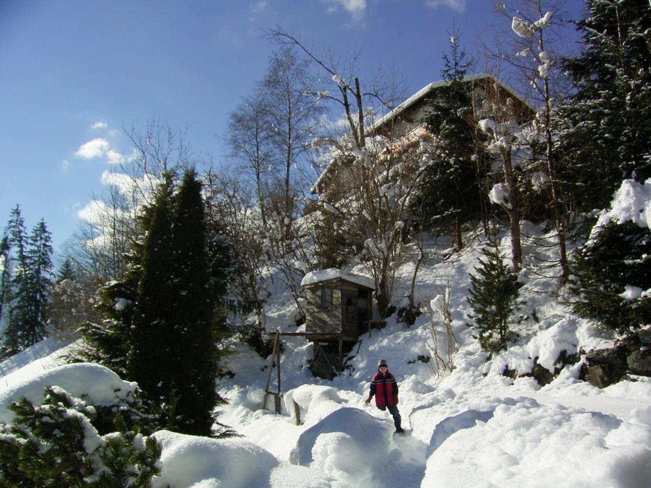 Appartement Weigl Zell am Ziller Exterior foto